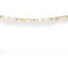 Лента LIGHTSTAR 420515 LED 24V 12W 120leds/M 26-28 lm blue IP20 5м