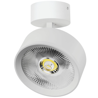 Светильник накладной LIGHTSTAR ALTA PRO A5746SO